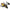 Mulineta Penn Spinfisher Vll Live Liner 8500