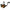 Mulineta Penn Spinnfisher Vii Sp 6500, 0.33mm/355m, 5.6:1, 6rul