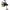 Mulineta Prowess Equa Spod Gs, 10000