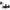 Mulineta Penn Fathom Il Star Drag 12