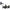 Mulineta Penn Fathom Il Star Drag 15