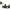 Mulineta Penn Fathom Il Star Drag 40