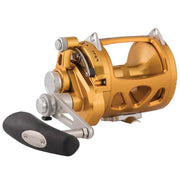 Mulineta Penn International Visw 30 Gold