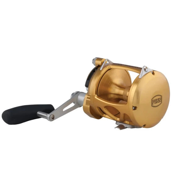 Mulineta Penn International Visw 50 Gold
