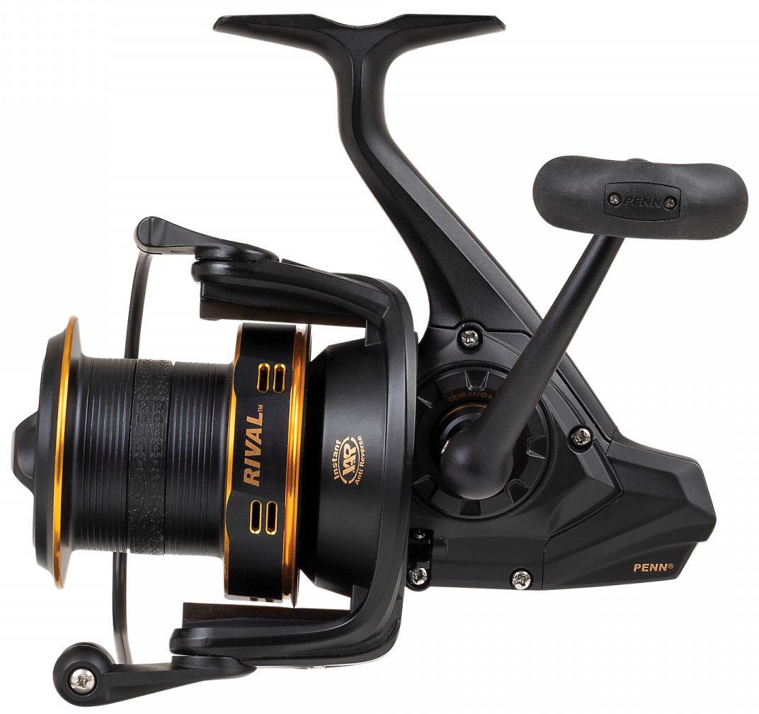 Mulineta Penn Rival Longcast Gold 6000