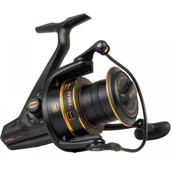 Mulineta Penn Rival Longcast Gold 6000