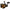 Mulineta Penn Spinfisher Vll Spinning 8500