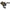 Mulineta Savage Gear Multiplicator SG8 300 BC LH, 7.3:1, 7+1rul