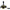 Mulineta Spinning Daiwa Rs 1000, 5.2:1, 0.06mm/250m, 3+1rul