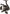 Mulineta Wizard Black Evo Spin Reel 3+1, 3000