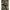 Mulineta Zebco Demonic Finesse Baitcaster 100 Lhw, 0.10mm/150m