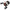 Multiplicator Abu Garcia Revo 5 X Low Profile, Left