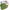 NADA CARP ZOOM RAPID METHOD EMISSING MIX 330gr Green Emission Scoica