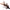 Naluca Savage Gear 3d Crayfish Rattling 6.7cm 2.9g Brown Orange