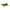 NALUCA SAVAGE GEAR SUICIDE DUCK 10.5CM 28GR 01 3D