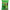 Nada Cu Adaos Ttx Cukk Extra Cumin Honey, 1.5kg