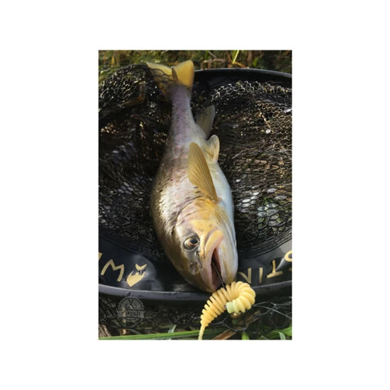 Naluca Fishup Tanta, 055 Chartreuse Black, 5cm, 9buc/pac