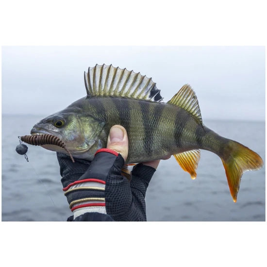 Naluca Fishup Tanta, Lemon, 6.1cm, 8buc/pac