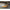 Naluca Fishup Trout Series Crawfish Yochu, 4.3cm, Cheese, 8buc/pac