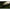 Naluca Fishup Trout Series Morio Cheese, 111 Hot Chartreuse, 3.1cm, 12buc/pac