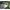 Naluca Fishup Trout Series Tanta, 5cm, White Bubble Gum, 9buc/pac