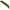 Naluca Libra Lures Goliath, 3.5cm, 1.05g, Olive, 12buc/pac