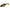 Naluca Mft Roach 8cm/tench - 4buc
