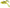 Naluca Rapture Dancer Frog 6.5cm 16g Yellow
