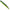 Naluca Savage Gear Ned Dragon Tail Slug, 8.8cm, 4g, Chartreuse Pumpkin, 5buc/pac