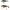 Naluca Savage Gear Perch Shad, SS01, 12.5cm, 23g