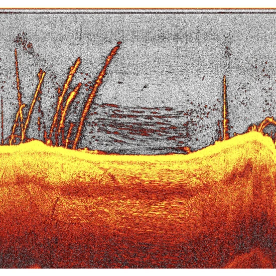 Navomodel Deeper Quest Pentru Nadit Cu Downscan