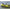 Navomodel Plantat Rocarp Mtk Infinity Cu Gps Si Autopilot Brushless