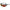 OCHELARI EYELEVEL SOARE JUPITER RED