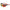OCHELARI EYELEVEL SOARE MARITIME RED