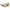 OCHELARI FOX RAGE MATT BLACK FRAMES/AMBER LENSE WRAPS EYEWEAR