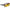 OCHELARI POLARIZATI RAPALA URBAN VISION GEAR FILL GREY RED