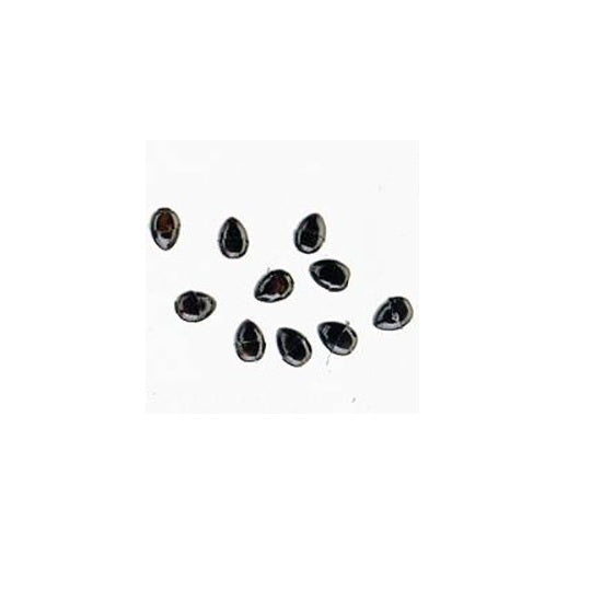 OPRITOARE CORMORAN CU SPATIU PT.NOD 10BUC/PL