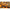 Opritoare Guru Super Tight L 12buc Pl