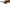 Ochelari Polarizati Korum Old School iD Polarised Sunglasses Amberjack