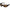 Ochelari polarizati Savage Gear Savage2 Brown