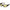 Ochelari polarizati Savage Gear Savage2 Yellow