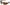 Ochelarii De Soare JRC Stealth Sunglasses, Camo/Cooper