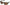 Ochelarii De Soare JRC Stealth Sunglasses,  Matt Moss/Copper