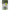 Opritoare Fox Rage Predator Braid Stops - Black, 20buc/pac