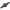 Opritore Nash Tungsten Helicopter Top Beads, 8buc/pac