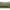 Pat Solar Undercover Camo Bedchair