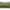 PAT SOLAR UNDERCOVER CAMO BEDCHAIR