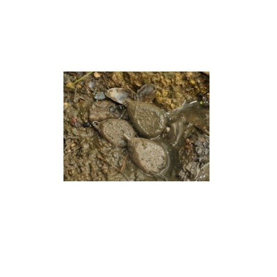 PLUMB KORDA CAMUFLAJ CU VARTEJ 84G