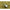 Plumb Korda Marker 57g Si 85g