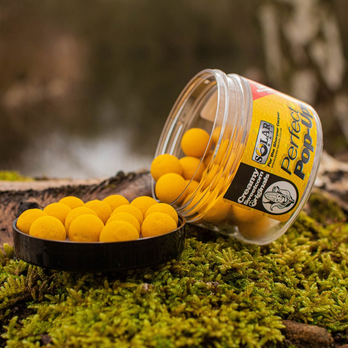 POP-UPS SOLAR 14MM CREAMY SWEETCORN